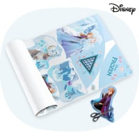 Setul de planuri Flyer Disney Regatul de gheață de la Wickey  627000